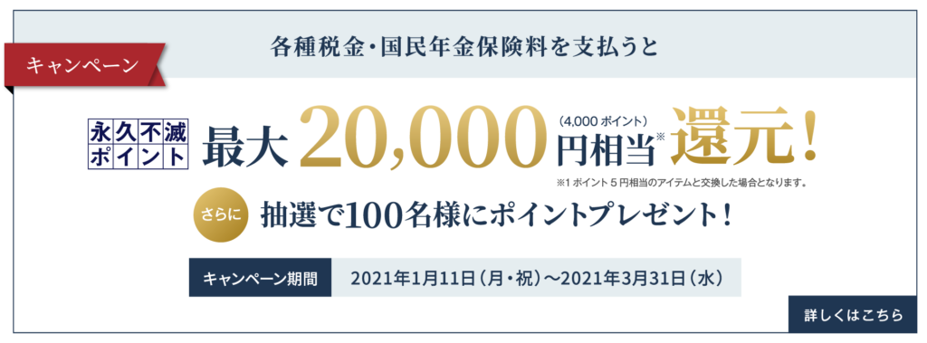 セゾンプラチナ 20000円